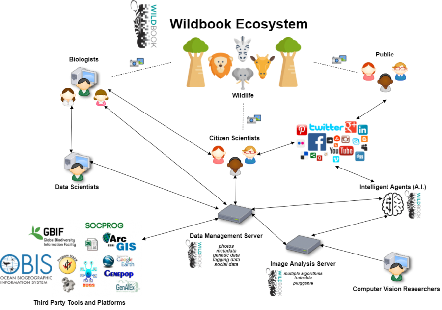 Wildbook Componant Flowchart